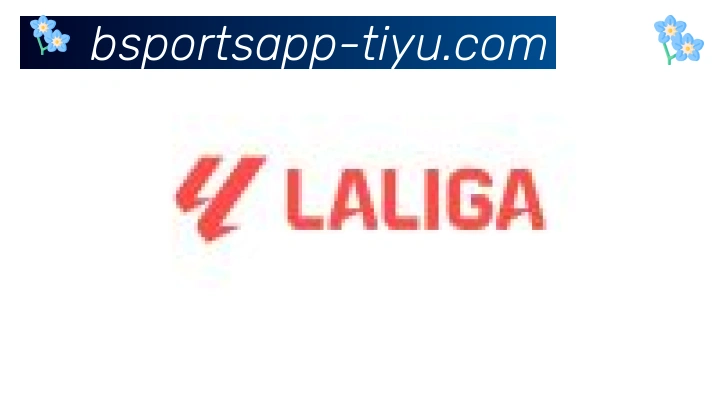 Bsports官网合作伙伴