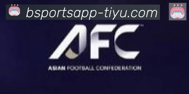 Bsports官网合作伙伴